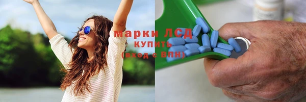 крисы Наволоки