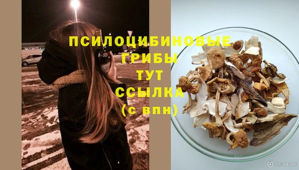 крисы Наволоки