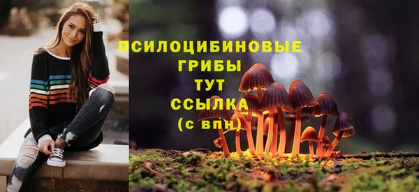 СК Навашино