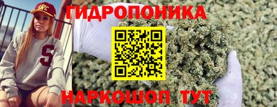 spice Аргун