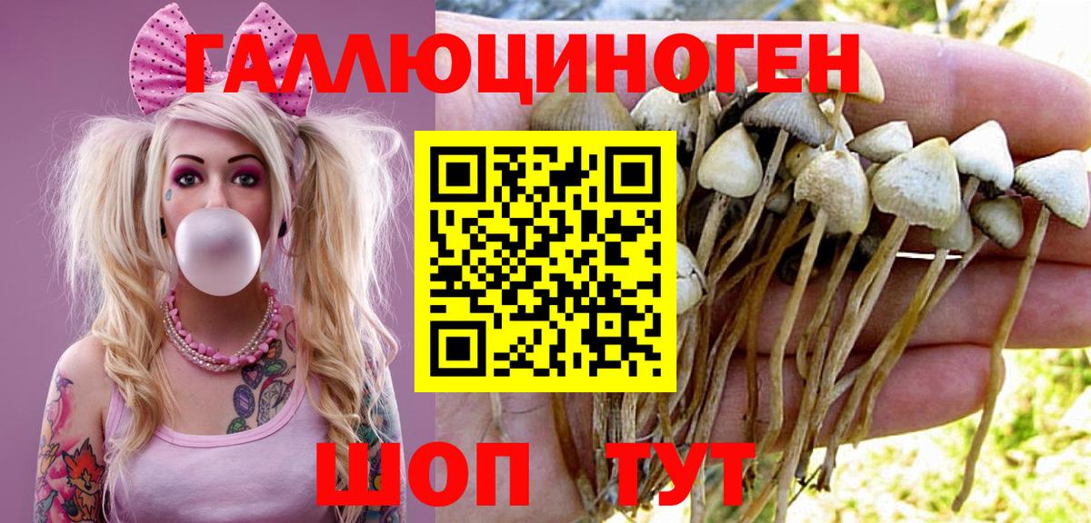Галлюциногенные грибы MAGIC MUSHROOMS Апшеронск